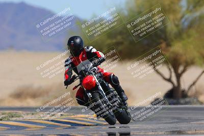 media/Mar-24-2025-Moto Forza (Mon) [[57ce5c5cff]]/3-Beginner Group/Session 4 Turn 4 Tree of Life/